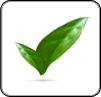 web design & online marketing