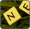 web design & online marketing